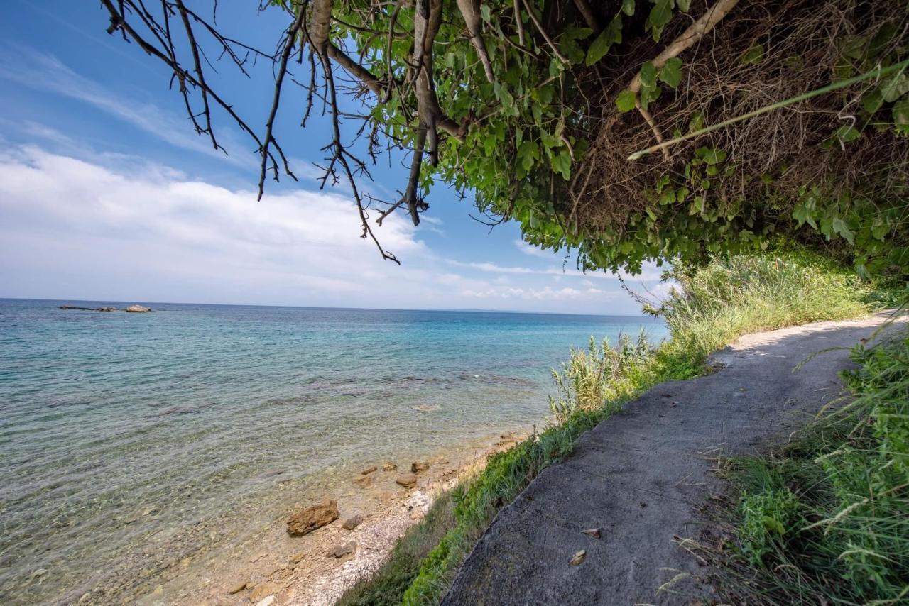 Aparthotel Ionian Aura Tsilivi  Exterior foto